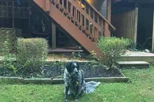 15129 Deer Valley Terrace, Silver Spring, MD 20906 - Photo 28