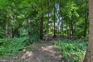 2062 Derby Ridge Ln, Silver Spring, MD 20910 - Photo 48