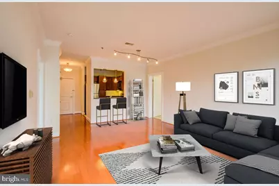 38 Maryland Avenue #428, Rockville, MD 20850 - Photo 18