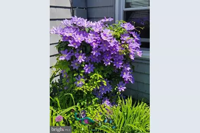 22325 Nicholson Farm Road, Dickerson, MD 20842 - Photo 28