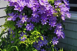 22325 Nicholson Farm Rd, Dickerson, MD 20842 - Photo 28