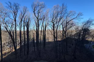 5225 Pooks Hill, Bethesda, MD 20814 - Photo 64