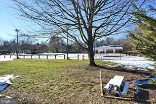 7413 Tupelo Dr, Rockville, MD 20855 - Photo 40