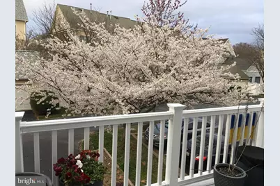 1023 Gaither Road, Rockville, MD 20850 - Photo 58