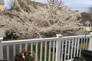 1023 Gaither Rd, Rockville, MD 20850 - Photo 58