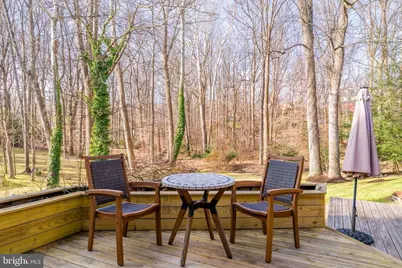 9908 Carter Road, Bethesda, MD 20817 - Photo 50