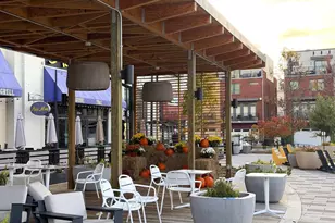 241 Goodall St, Gaithersburg, MD 20878 - Photo 56