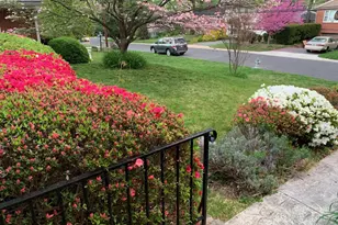 3323 Brooklawn Terrace, Chevy Chase, MD 20815 - Photo 38