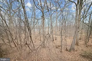 14359 Long Channel, Germantown, MD 20874 - Photo 40