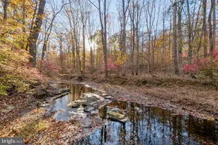 11610 Beall Mountain Rd, Potomac, MD 20854 - Photo 28