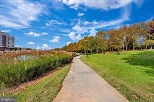 10134 Sterling Terrace, Rockville, MD 20850 - Photo 100