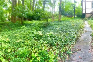 911 Sligo Creek Pkwy, Takoma Park, MD 20912 - Photo 10