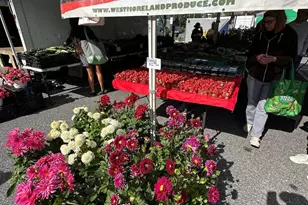 930 Rose Ave, North Bethesda, MD 20852 - Photo 64