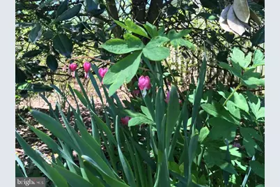 8008 Aberdeen Road, Bethesda, MD 20814 - Photo 8