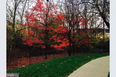 5700 Chapman Mill Drive #320, Rockville, MD 20852 - Photo 4