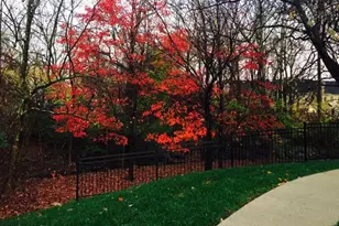 5700 Chapman Mill Dr, Rockville, MD 20852 - Photo 4