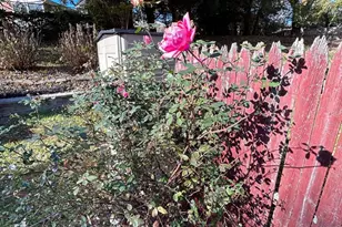 10804 Drumm Ave, Kensington, MD 20895 - Photo 16