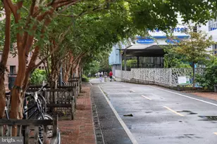 7005 Exfair Rd, Bethesda, MD 20814 - Photo 70