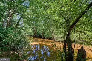 31 Haviland Mill Rd, Brookeville, MD 20833 - Photo 10