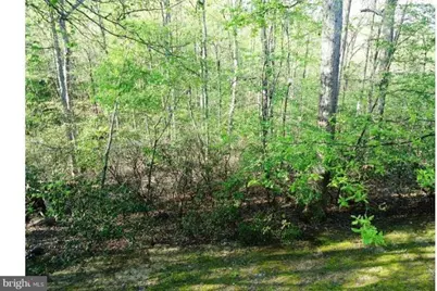 10225 Cove Ledge Court, Montgomery Village, MD 20886 - Photo 42