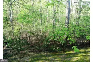 10225 Cove Ledge Ct, Montgomery Village, MD 20886 - Photo 42