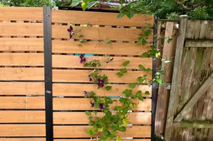 10616 Pennydog Ln, Silver Spring, MD 20902 - Photo 54