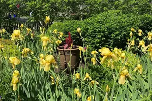 512 Pershing Dr, Silver Spring, MD 20910 - Photo 36