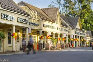 10717 Hampton Mill Terrace, Rockville, MD 20852 - Photo 42