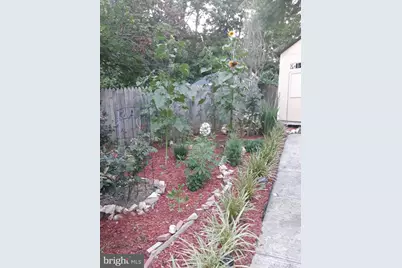 1320 Rainbow Drive, Silver Spring, MD 20905 - Photo 24