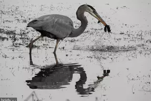 14440 Long Channel Cir, Germantown, MD 20874 - Photo 44