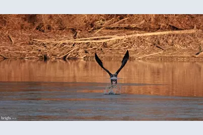 14440 Long Channel Circle, Germantown, MD 20874 - Photo 50