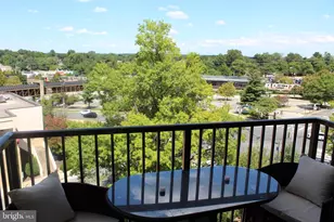 4 Monroe St, Rockville, MD 20850 - Photo 12