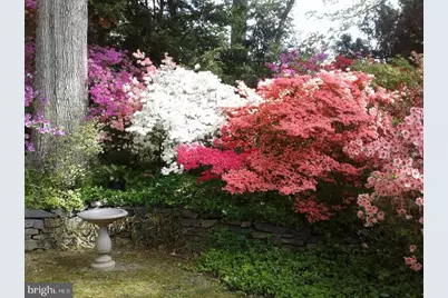 1912 Kimberly Road, Silver Spring, MD 20903 - Photo 40