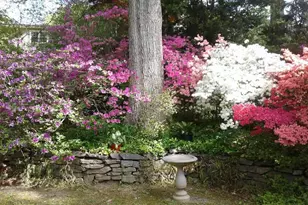 1912 Kimberly Rd, Silver Spring, MD 20903 - Photo 44