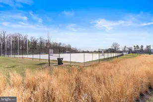 8209 Flower Ave, Takoma Park, MD 20912 - Photo 80