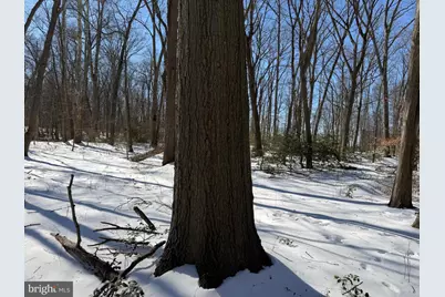 1+/- Acre Elmer School Road, Dickerson, MD 20842 - Photo 26