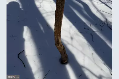 1+/- Acre Elmer School Road, Dickerson, MD 20842 - Photo 12