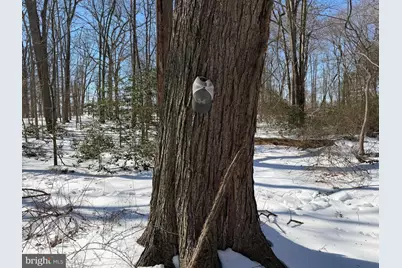 1+/- Acre Elmer School Road, Dickerson, MD 20842 - Photo 24