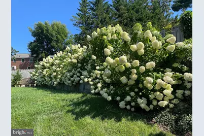 8807 Ridge Road, Bethesda, MD 20817 - Photo 10