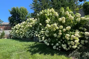 8807 Ridge Rd, Bethesda, MD 20817 - Photo 10