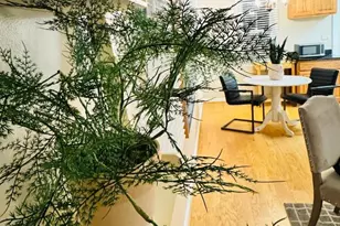 1111 Dennis Ave, Silver Spring, MD 20901 - Photo 8