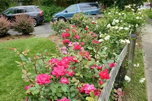 1 Orchard Wy S, Potomac, MD 20854 - Photo 50