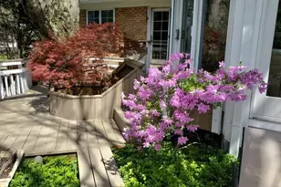 1 Orchard Wy S, Potomac, MD 20854 - Photo 46