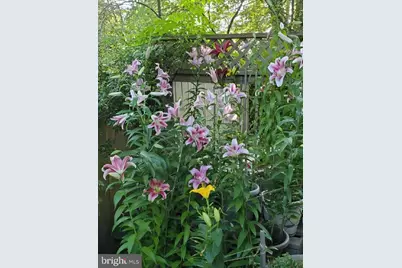 1 Orchard Way S, Potomac, MD 20854 - Photo 46