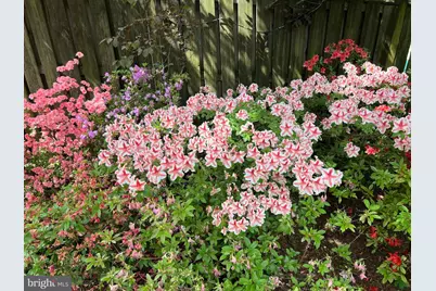 5225 Westpath Way, Bethesda, MD 20816 - Photo 40