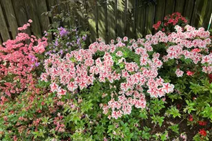 5225 Westpath Way, Bethesda, MD 20816 - Photo 40