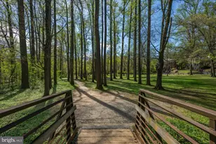 9226 Three Oaks Dr, Silver Spring, MD 20901 - Photo 58