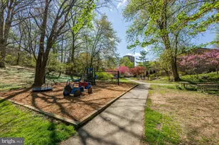 9226 Three Oaks Dr, Silver Spring, MD 20901 - Photo 52