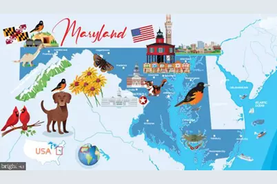 7503 Brenish Drive, Gaithersburg, MD 20879 - Photo 10