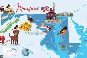 7503 Brenish Dr, Gaithersburg, MD 20879 - Photo 10